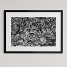 Per Heimly - Foto - Jotunreinen   thumbnail