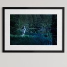 Per Heimly - Foto - De dødes tjern   thumbnail