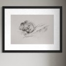 Myndin Nerdrum - Søvn - Variant sepia  thumbnail