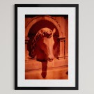 Per Heimly Foto - Hesten Sicilia  thumbnail