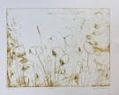 Anja Solvik - Eng thumbnail