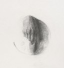 Myndin Nerdrum - Asteroide  thumbnail