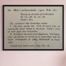 E. Munch - Møte i verdensrommet  thumbnail