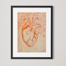 Maud Angelica Behn - Hjertet utenfor kroppen thumbnail