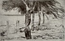 E. Munch - Landskap med strand thumbnail