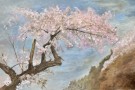 Kristine Hansmark - Ynde i full blomst  thumbnail