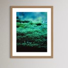 Espen M. Behn - Foto - Mose thumbnail