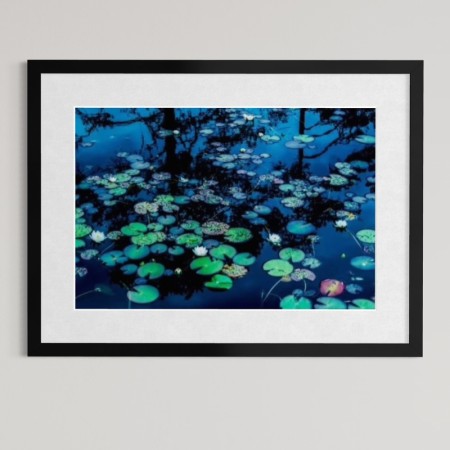 Per Heimly - Foto - Sorrow  