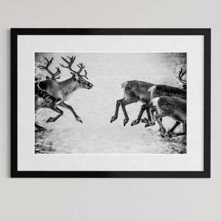 Per Heimly - Foto - På rømmen  